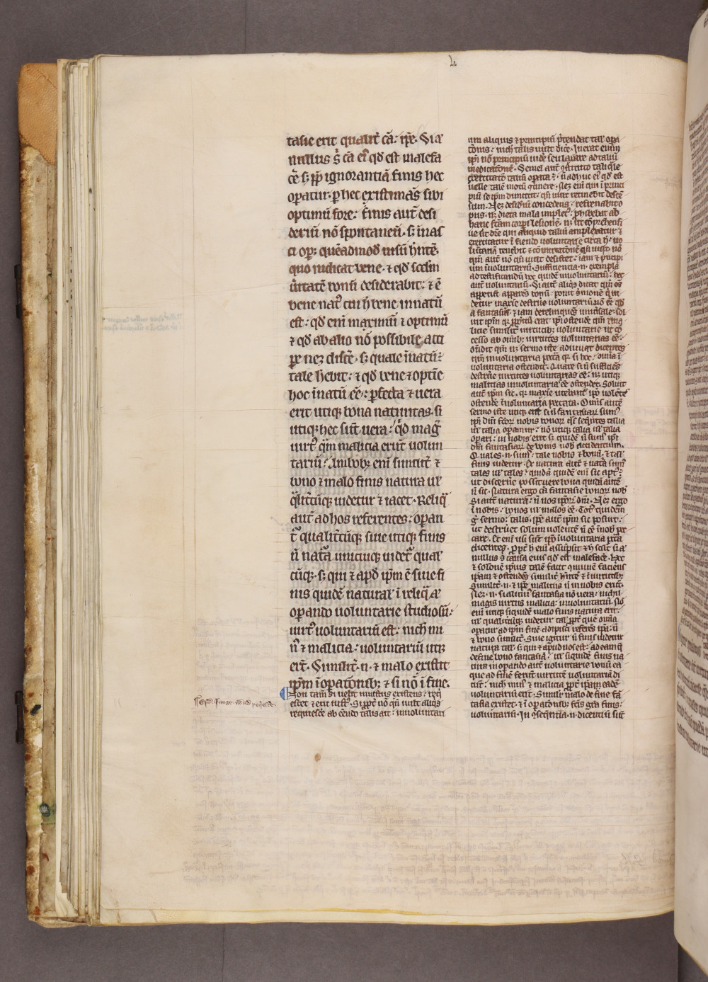 Folio 60 verso